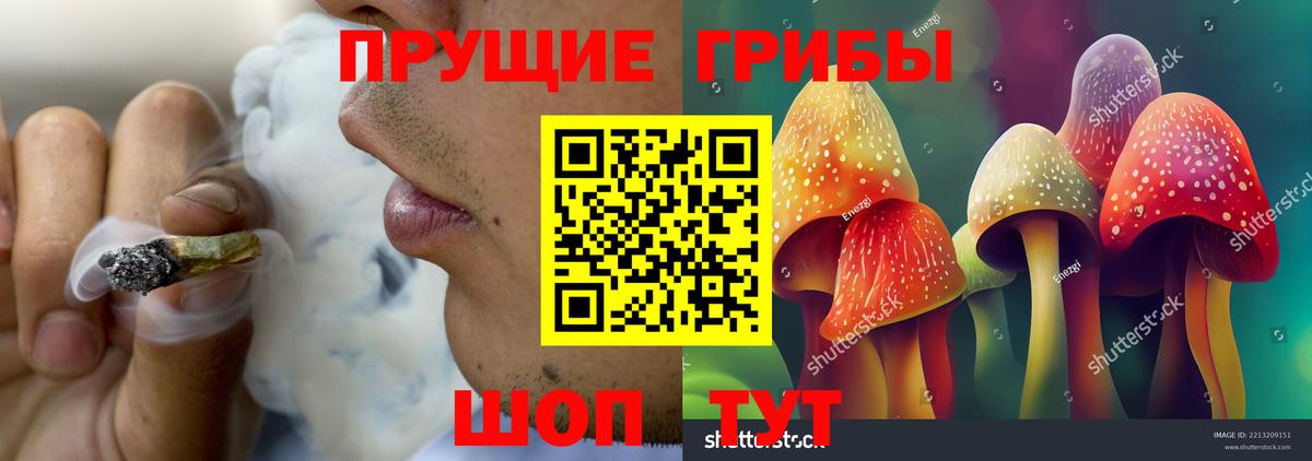Галлюциногенные грибы MAGIC MUSHROOMS  Вход с VPN  Ставрополь 